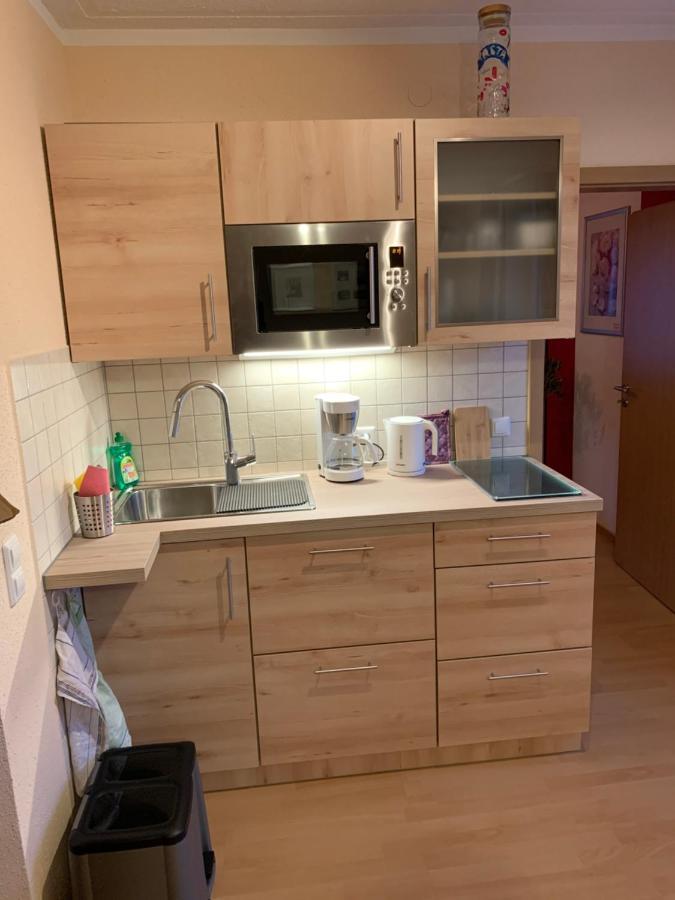 Kathrin'S Appartment Oelsnitz  エクステリア 写真